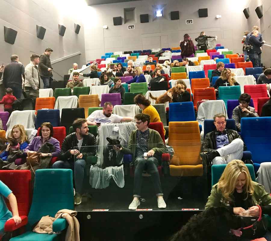 Isle of Dogs Screening Dublin