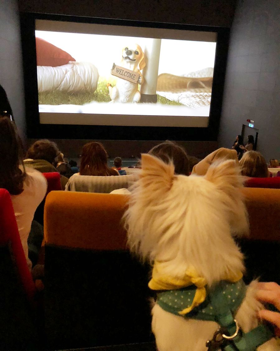 Isle of Dogs Screening Dublin