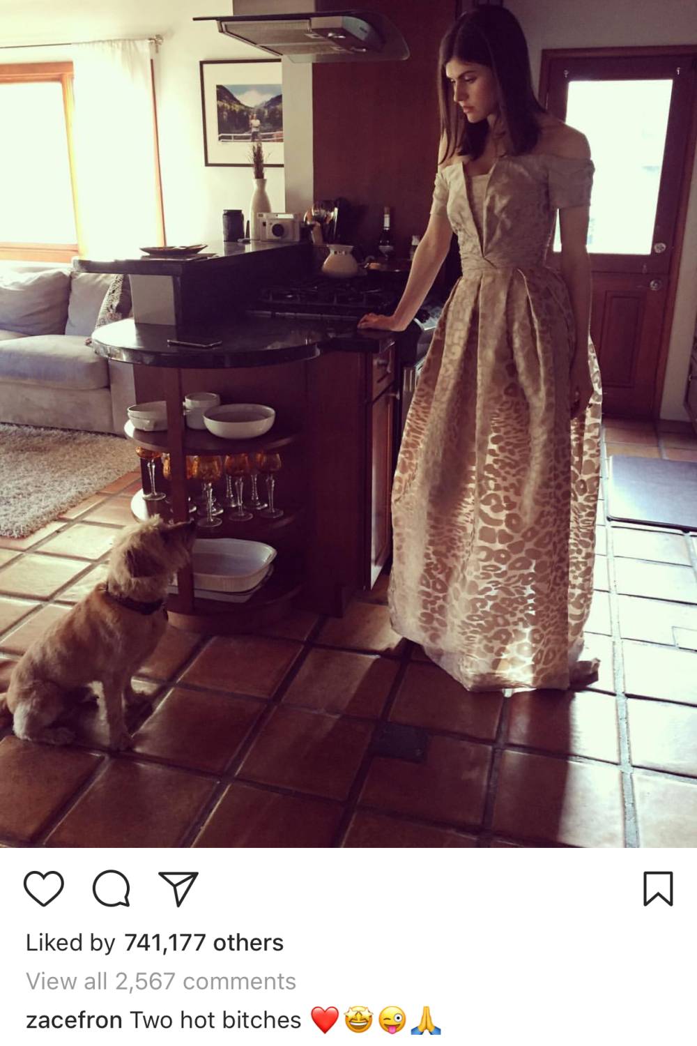Zac Efron comments on Alexandra Daddario's Instagram photo