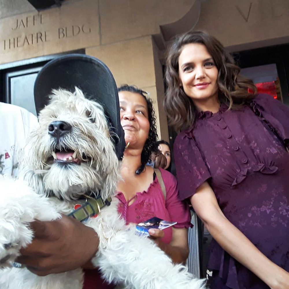 Shaggy celebrity selfie dog Katie Holmes