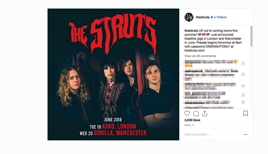 The Struts