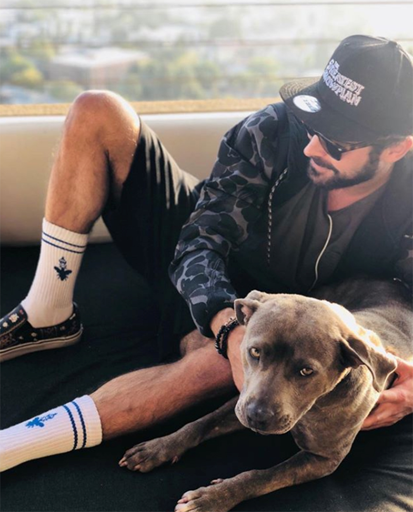 celebs who have adopted dogs