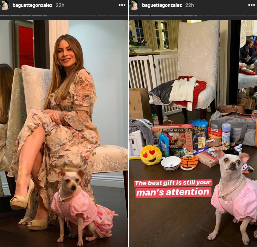 Manolo-Vergara-and-Sofia-Vergara-dog-party