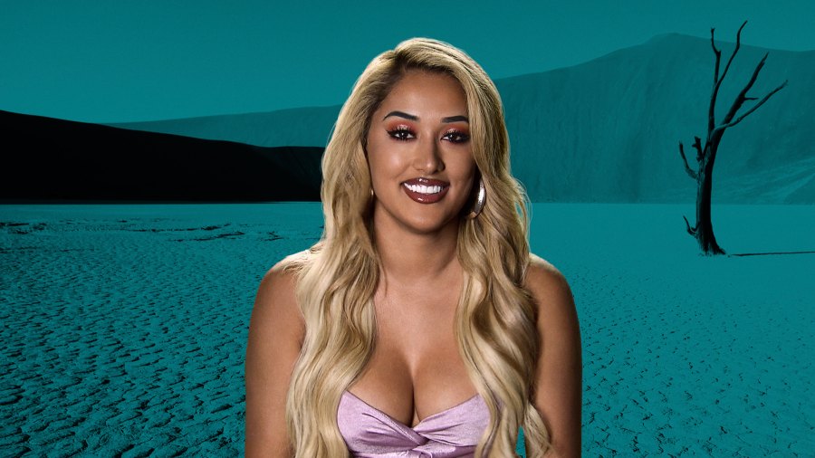 'Challenge' Cast: Meet the Vets and Rookies of Season 33