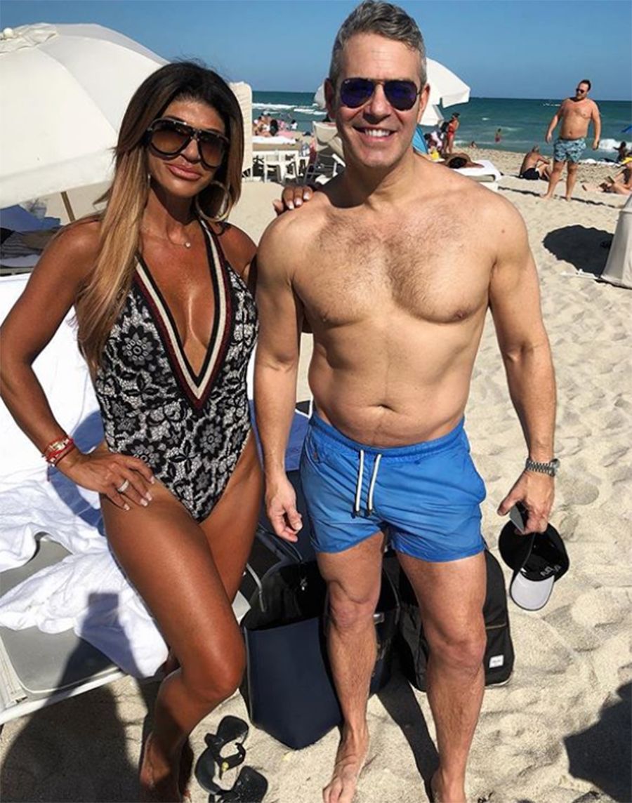 Teresa Guidice and Andy Cohen tan