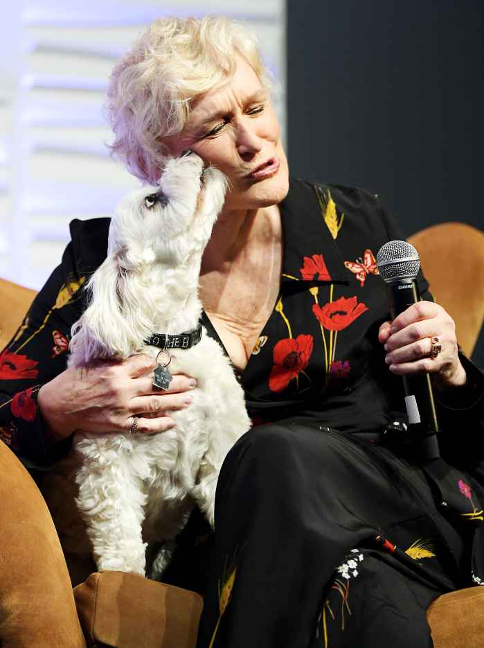 Glenn Close Sir Pippin of Beanfield Dog Oscars Rituals Grandmothers Ring