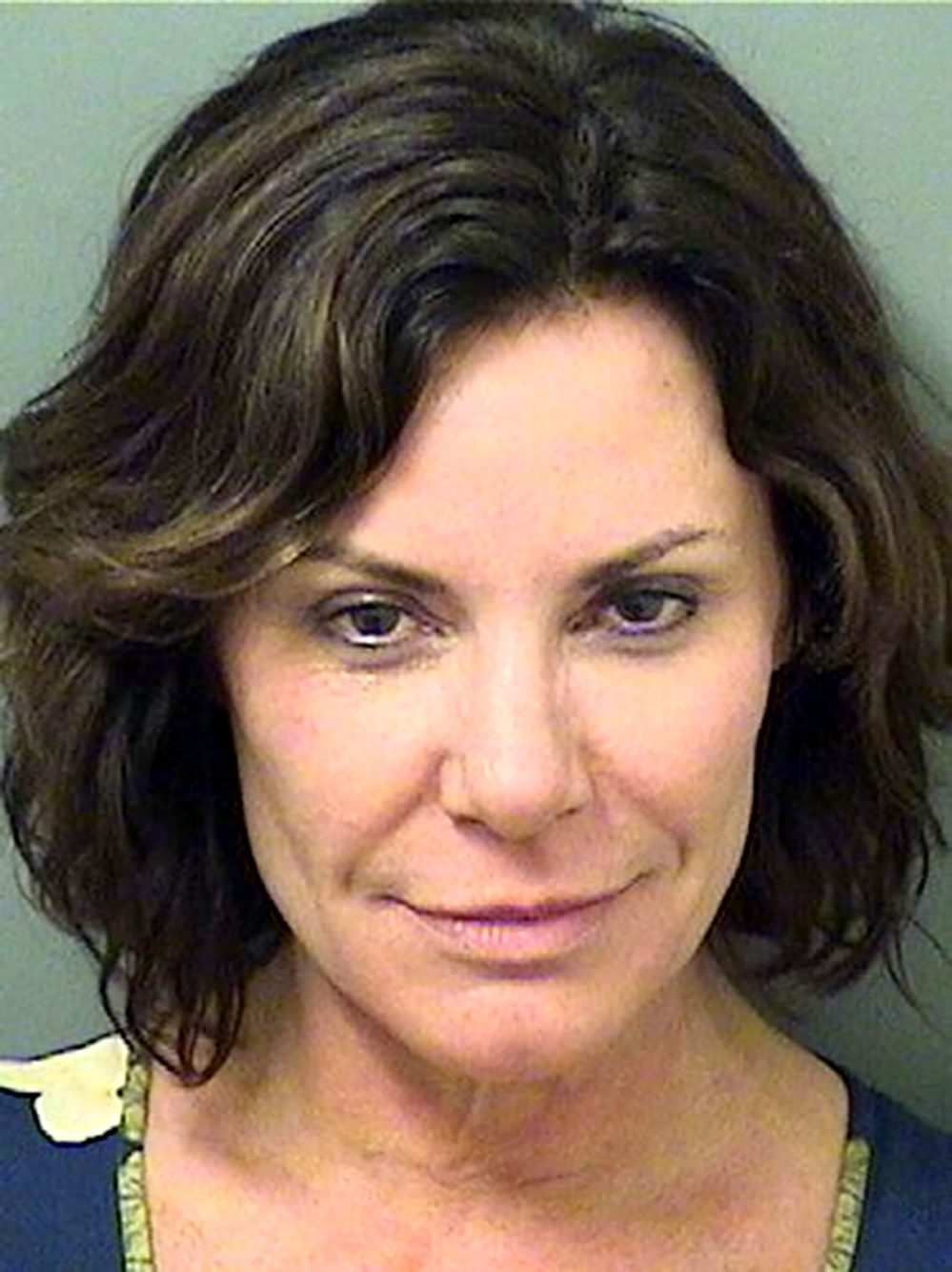 Luann de Lesseps Ordered Back to Jail