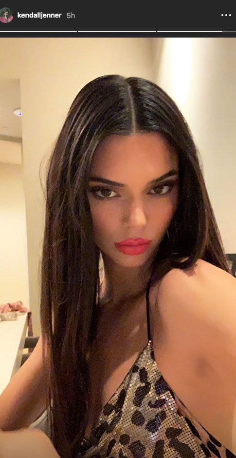 Inside Kendall Jenner and Kylie Jenner's '70s-Themed Party Night With Sofia Richie Kendall Jenner Selfie