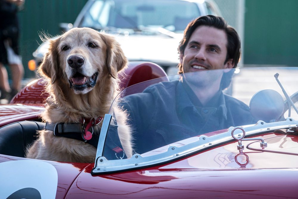 How Milo Ventimiglia Relates to Romantic Art of Racing Character