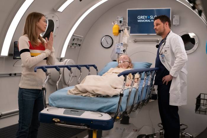 Grey's Anatomy Scoop Ellen Pompeo and Justin Chambers