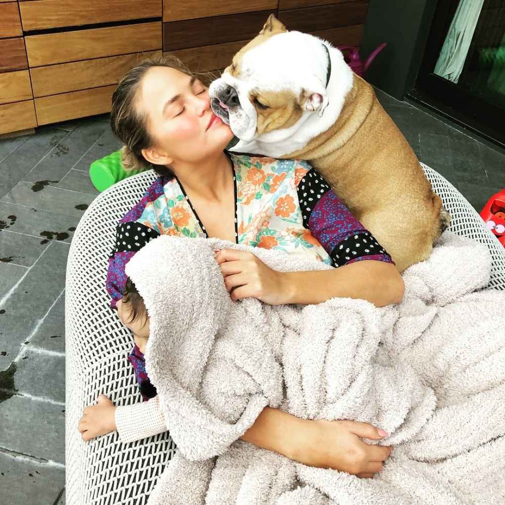 Chrissy Teigen Is Rightfully Obsessed With Her Bulldog