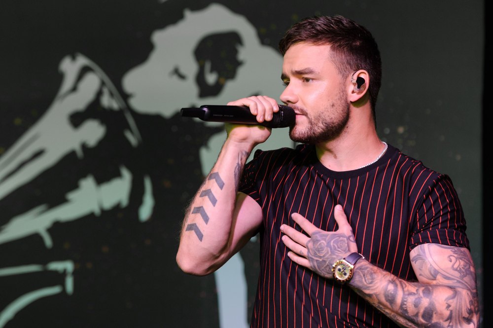 Liam Payne Album Review