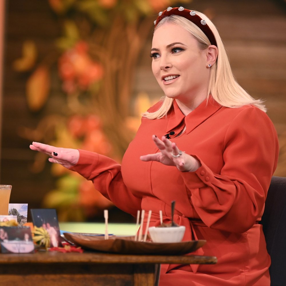 Meghan McCain Is a 'Lone Wolf' at 'The View,' Makes Show 'Difficult'