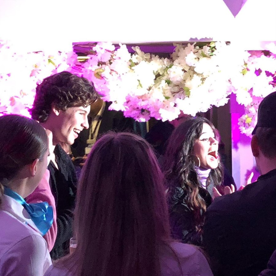 Camila-Cabello,-Shawn-Mendes-Celebrate-at-'Cinderella'-Birthday-Bash