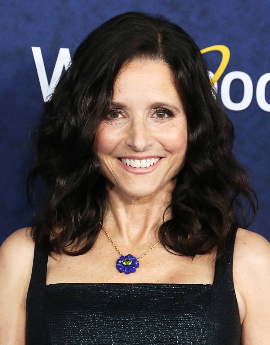 Julia Louis-Dreyfus Celebrities Who Love to Bake