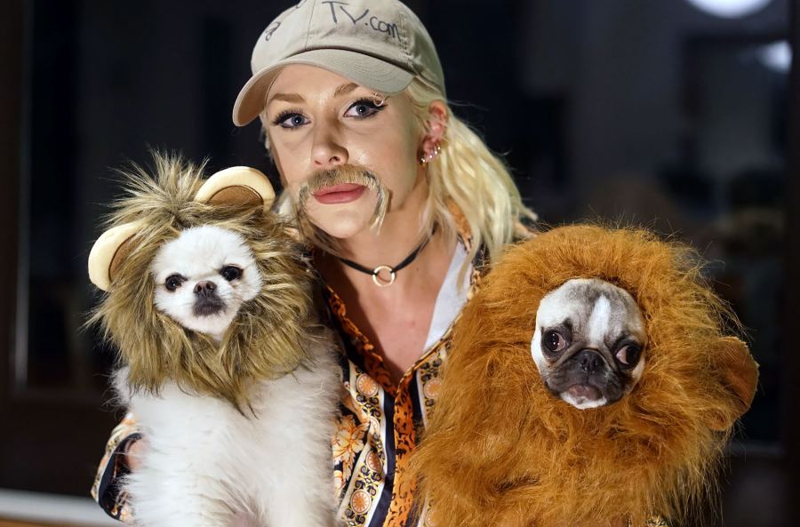 Courtney Stodden Dresses Up as Joe Exotic From 'Tiger King': Pics