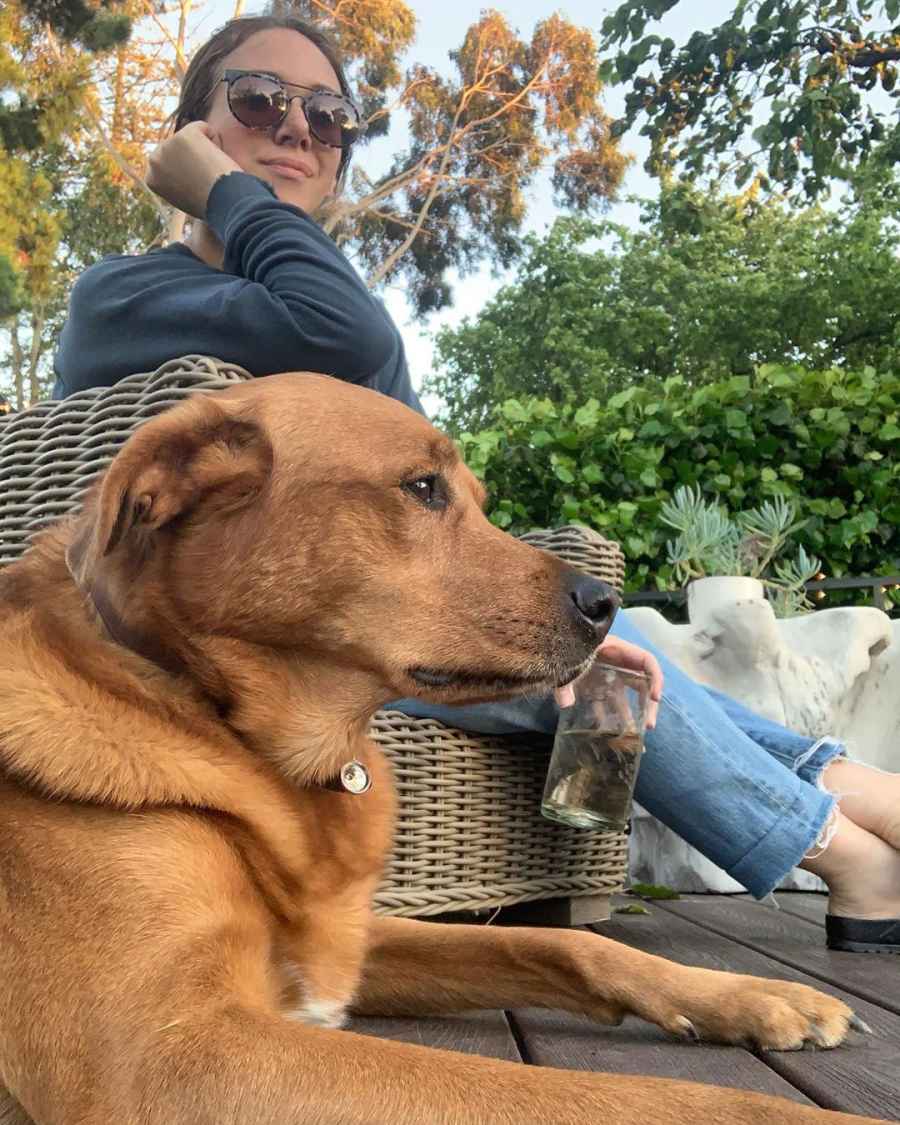 Haylie Duff Instagram Dog Outside