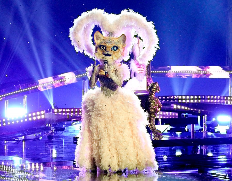 cat masked singer