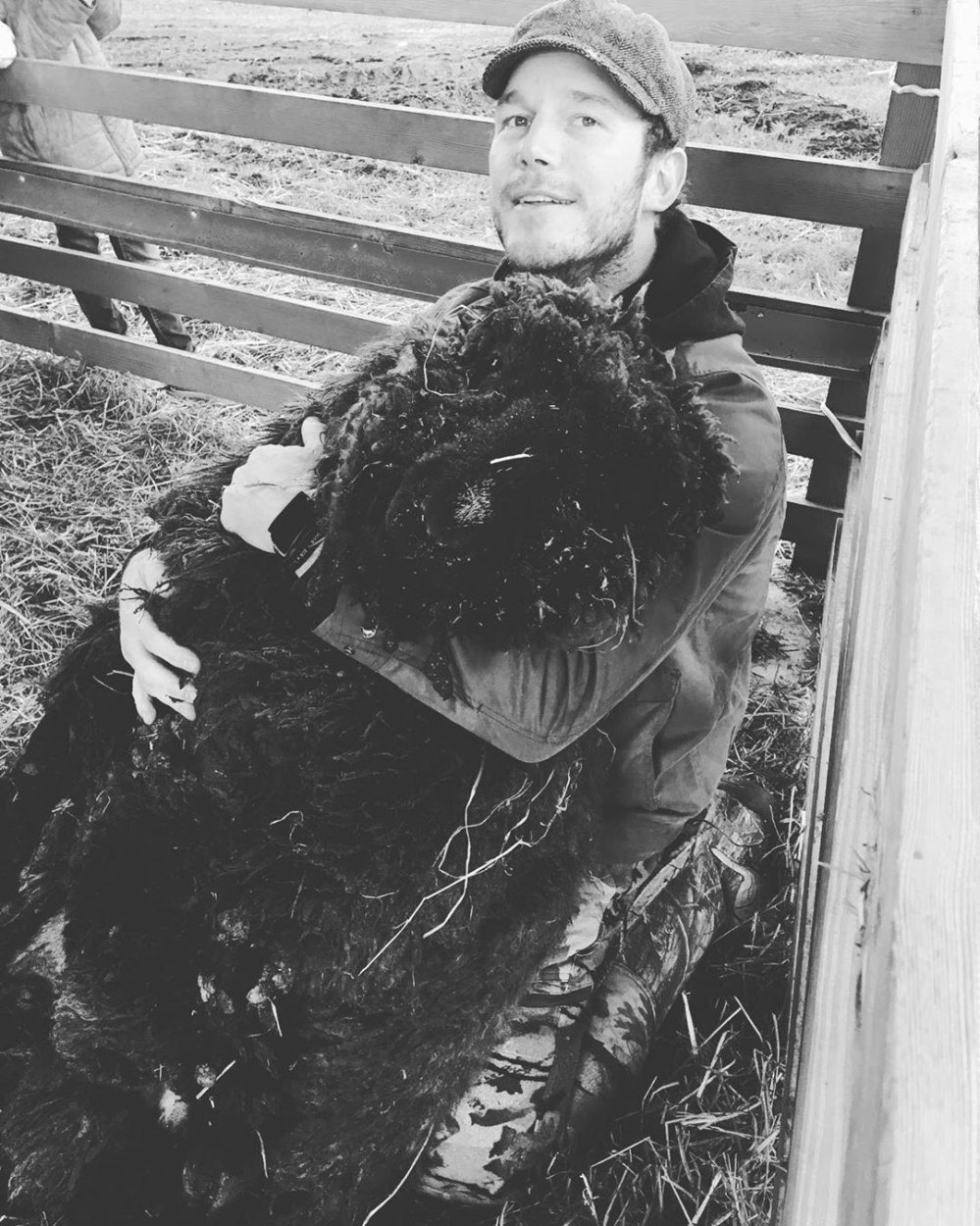 Chris Pratt Mourns Loss of Farm Animal Prince Rupert Ram