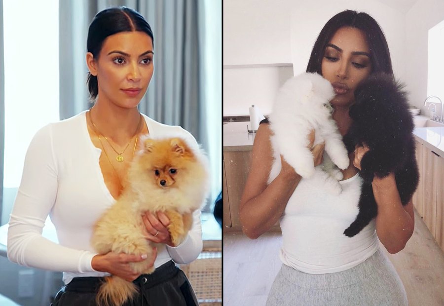 Kim Kardashian and Sushi Sake and Soba Celebrities Who Have Pets With Food-Inspired Names