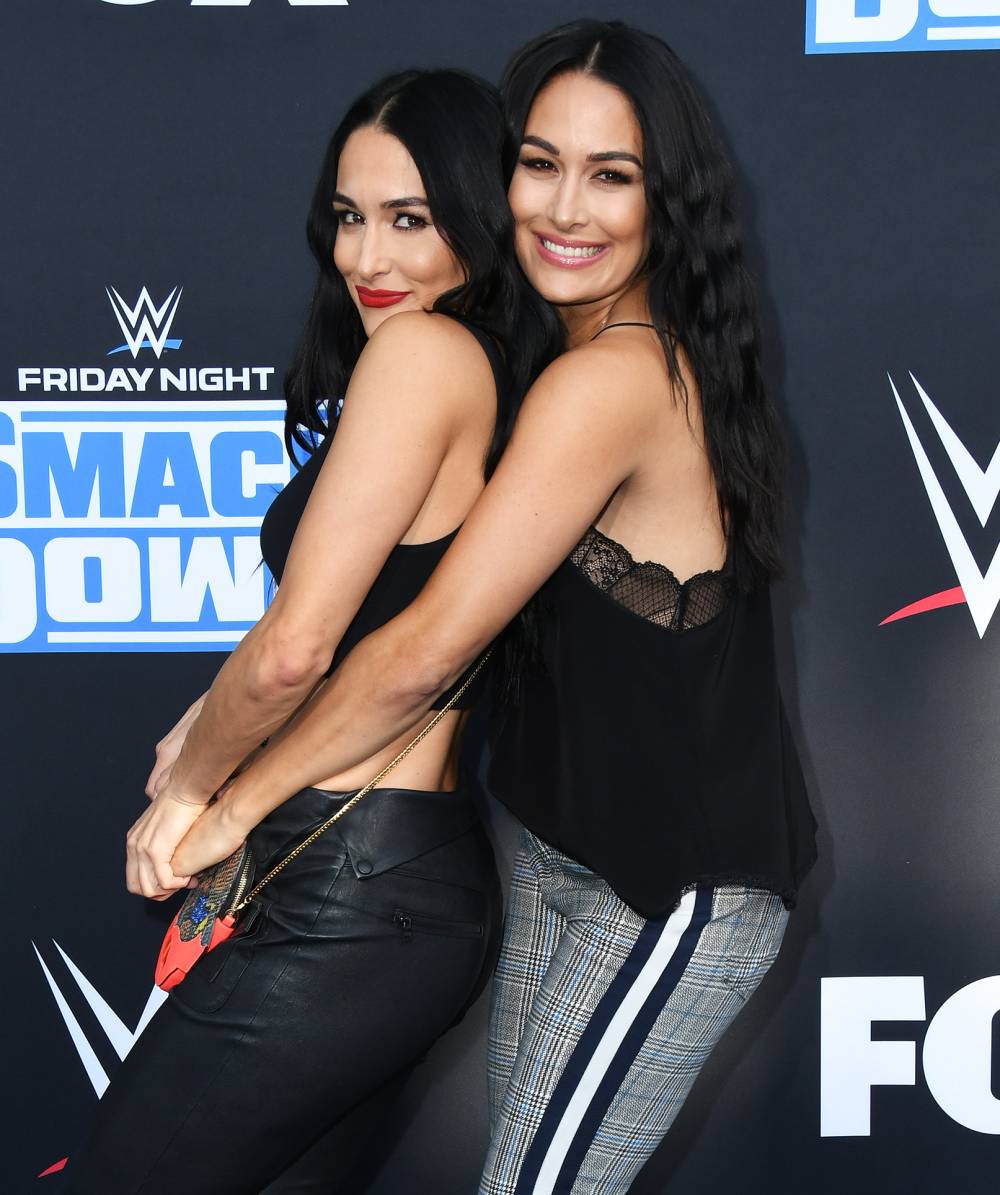 Nikki and Brie Bella on Moving to Napa Valley Together