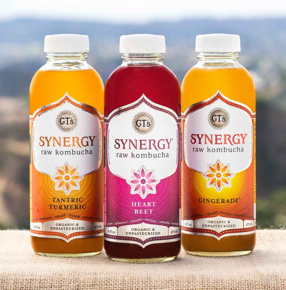 Kombucha Synergy