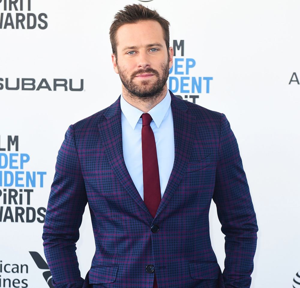 Armie Hammer Pleaded Guilty to Traffic Offenses Days After Divorce