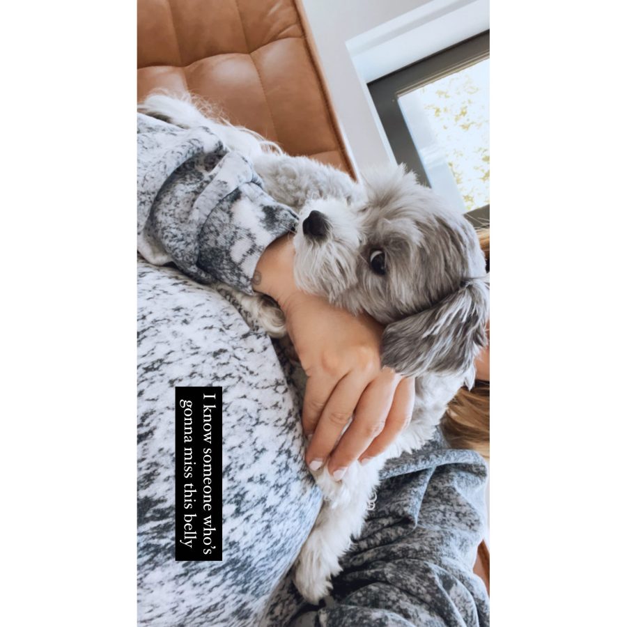 Ashley Tisdale Jokes Her Dog Will Miss Her Baby Bump