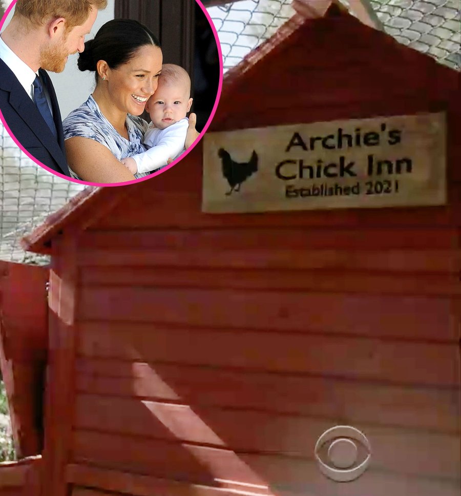 They Raise Chickens Prince Harry Meghan Markle Archie Chick Inn