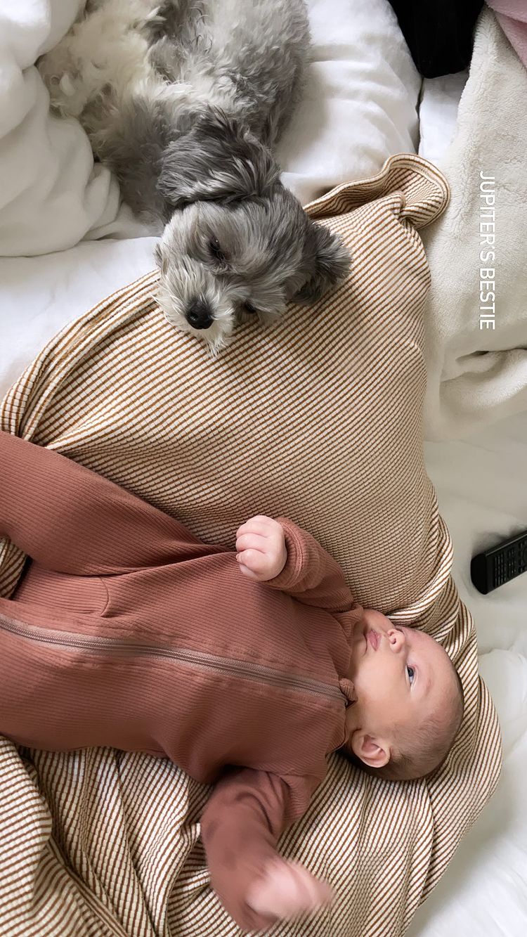 Ashley Tisdale and Christopher French's Daughter Jupiter's Baby Album Puppy Love