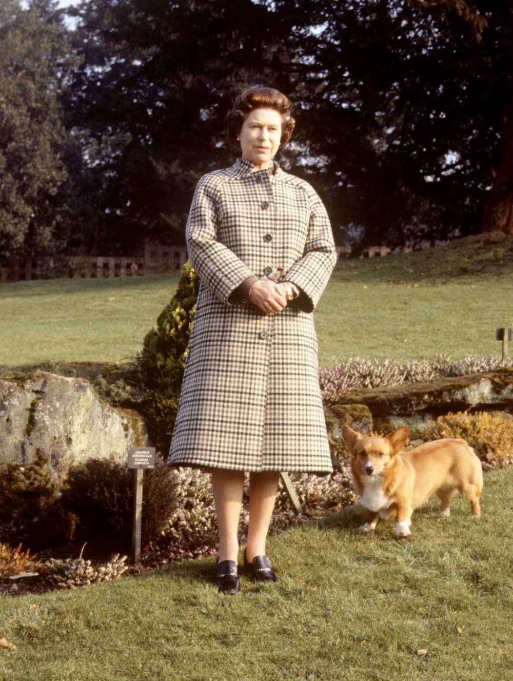 Queen Elizabeth II Devastated By Death of New Puppy Fergus 2