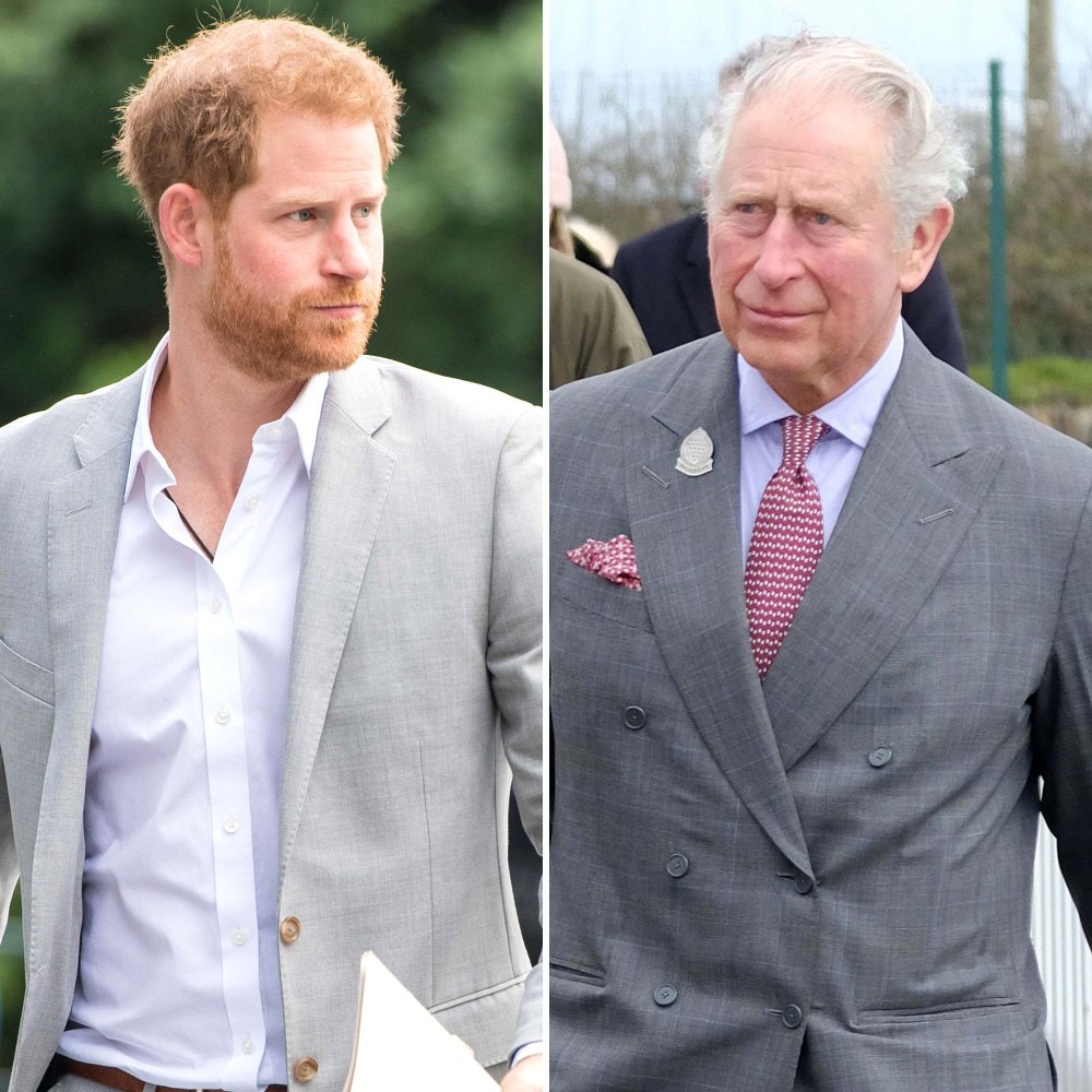 Prince Harrys Lapse of Contact With Prince Charles Is Unfortunate