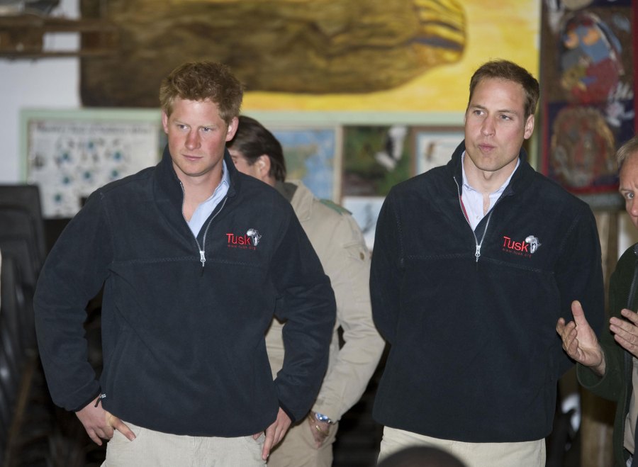 Princes William Harry How Theyve Grown