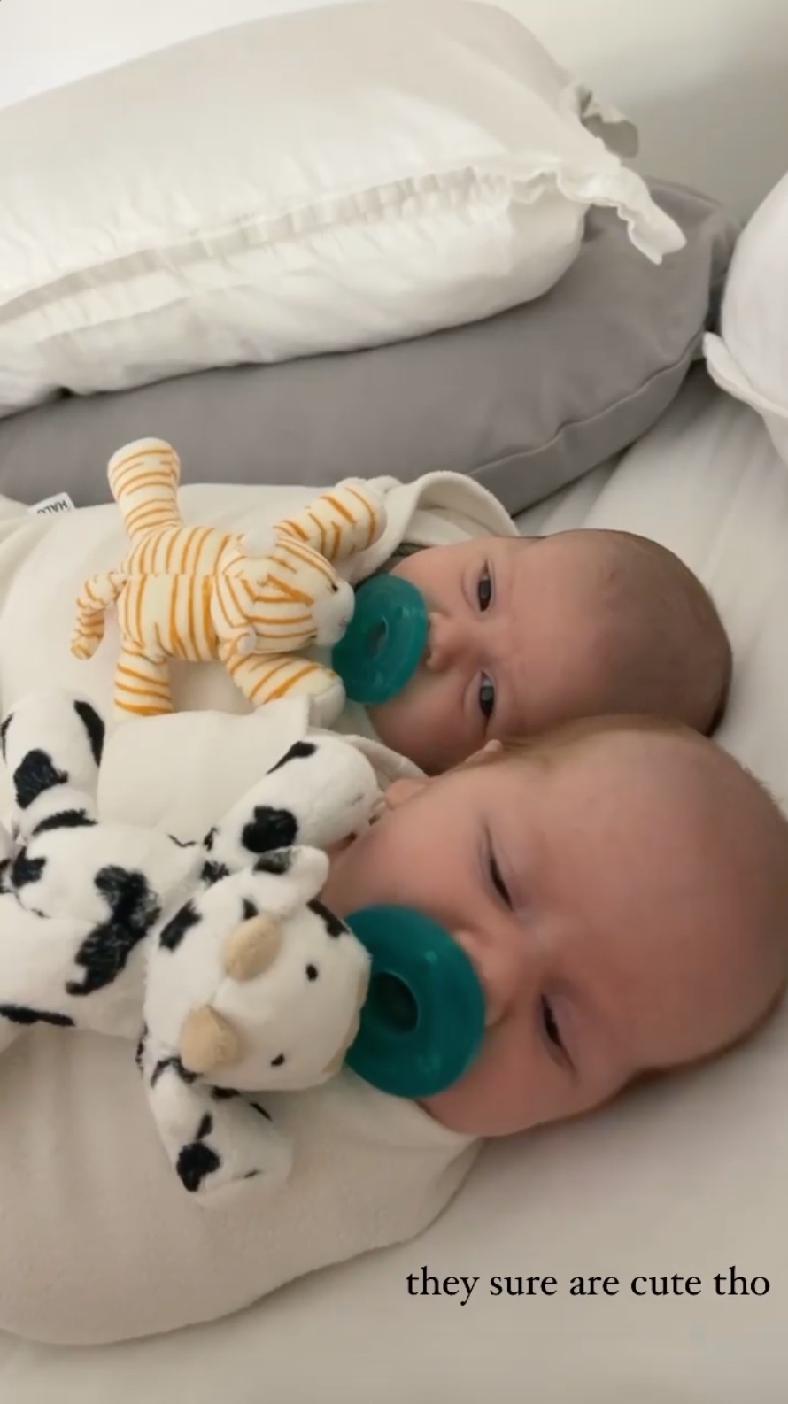 'They Sure Are Cute'! Lauren Burnham, Arie Luyendyk Jr.'s Twins’ Cute Pics