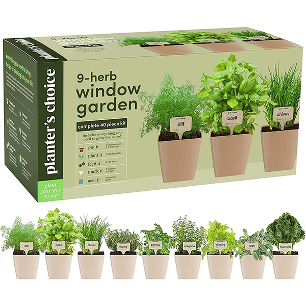 Planter's Choice 9 Herb Window Garden