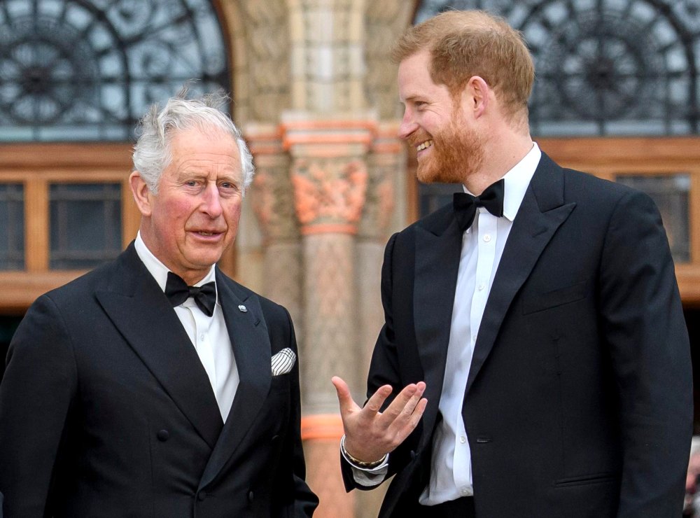 Prince Charles and Prince Harry Have 'Absolutely' Made Improvements Since CBS Tell-All, Royal Expert Says