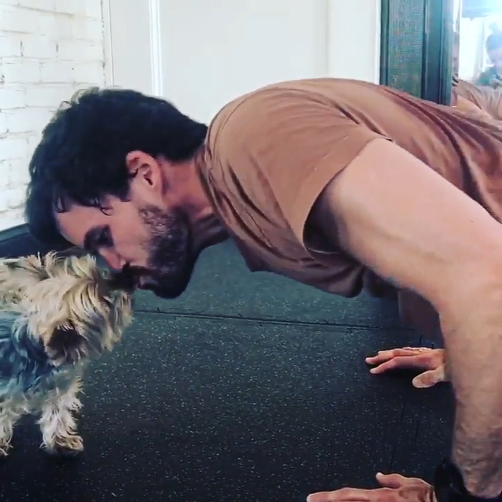 Stars Who Work Out With Their Pets
