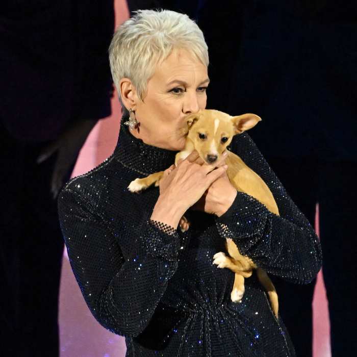 Puppy Love John Travolta Son Ben Adopts Dog Oscars