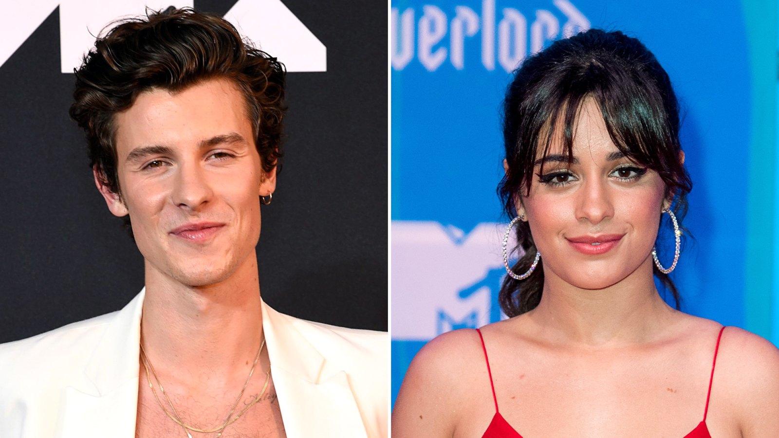 Shawn Mendes Adorably Cuddles With His Dog After Camila Cabello's Split Comments