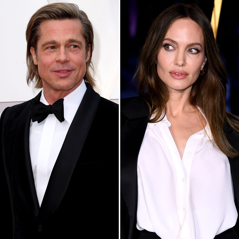 Brad Pitt Thinks Angelina Jolie Wants Kids to Have 'Nothing to Do With' Him