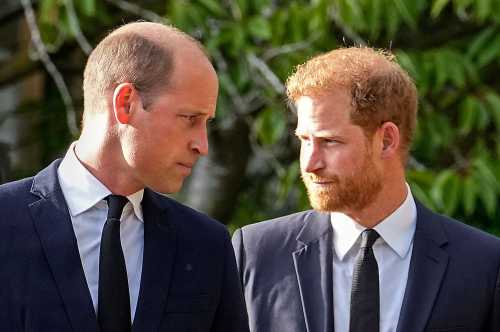 Prince William and Prince Harry’s Relationship Is Still ‘Dicey,’ Royal Expert Says After They Unite to Greet Mourners