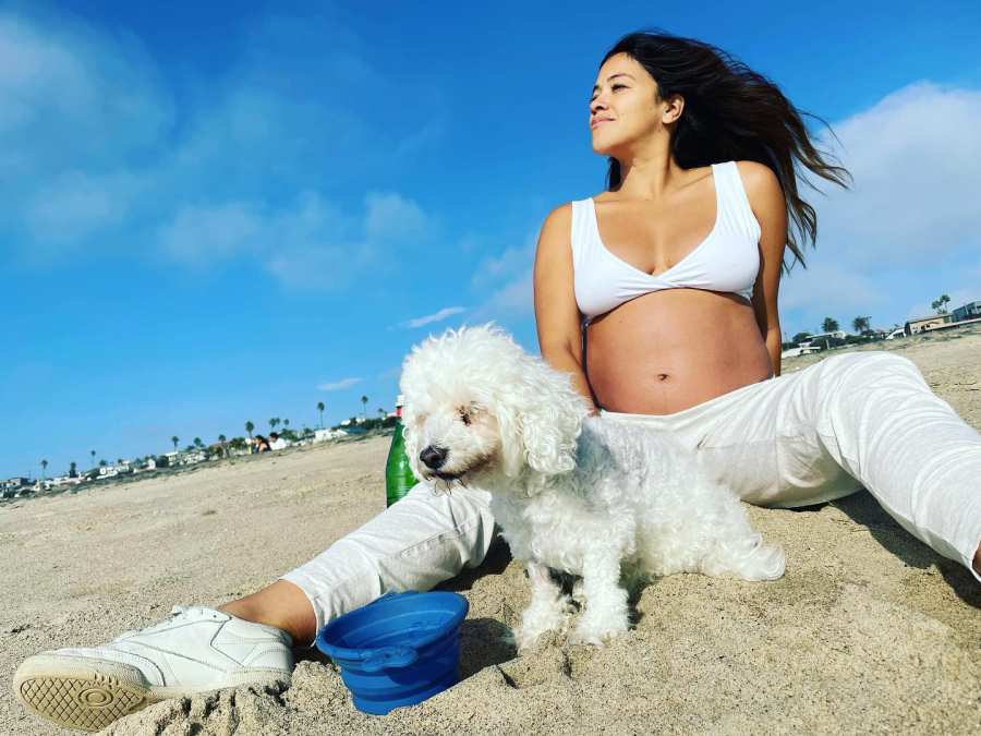 Paw-fect Pals! Gina Rodriguez, More Stars Cuddle With Pets During Pregnancy