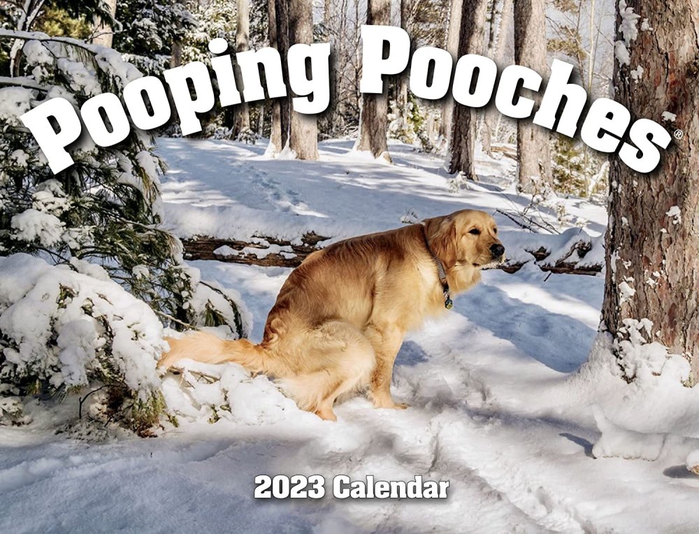 Pooping Pooches 2023 Calendar