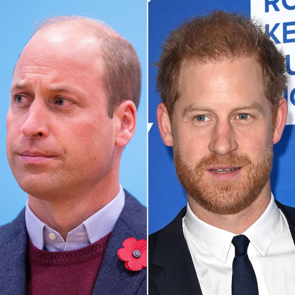 Prince William's 'Conflict' With Prince Harry Has Heightened After Netflix's 'Harry & Meghan' Exposes 'Dirty Laundry' red flower