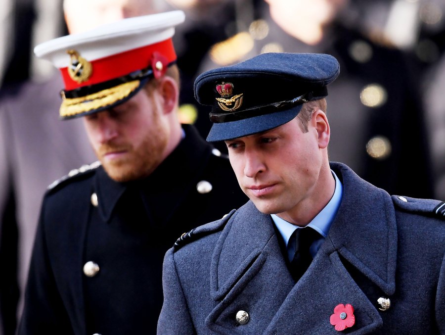 Prince Harry’s 10 Biggest ‘Spare’ Bombshells: Fighting With Prince William, Stag Party 'Shave' Debacle, Drug Confessions, More red flower pin