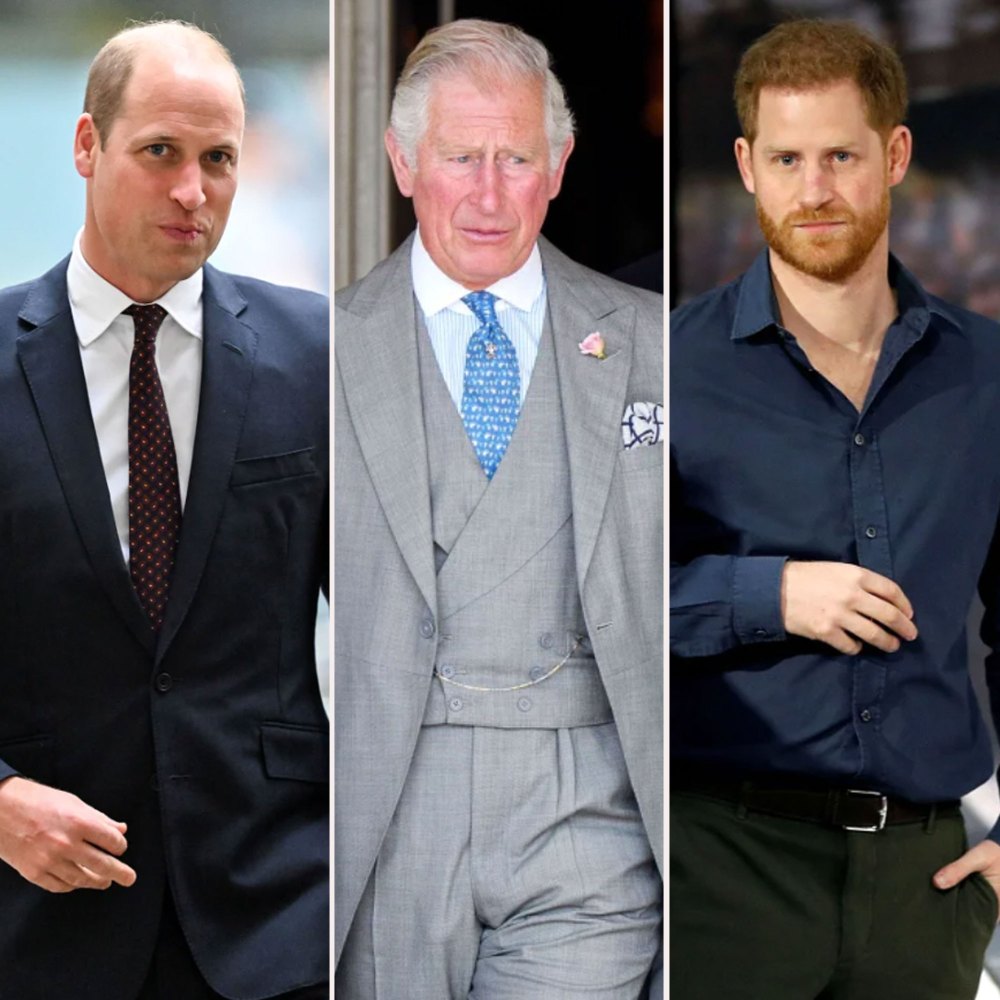 Prince William and Prince Harry Urged King Charles III Not to Marry Queen Consort Camilla After Princess Diana's Death: Details blue tie