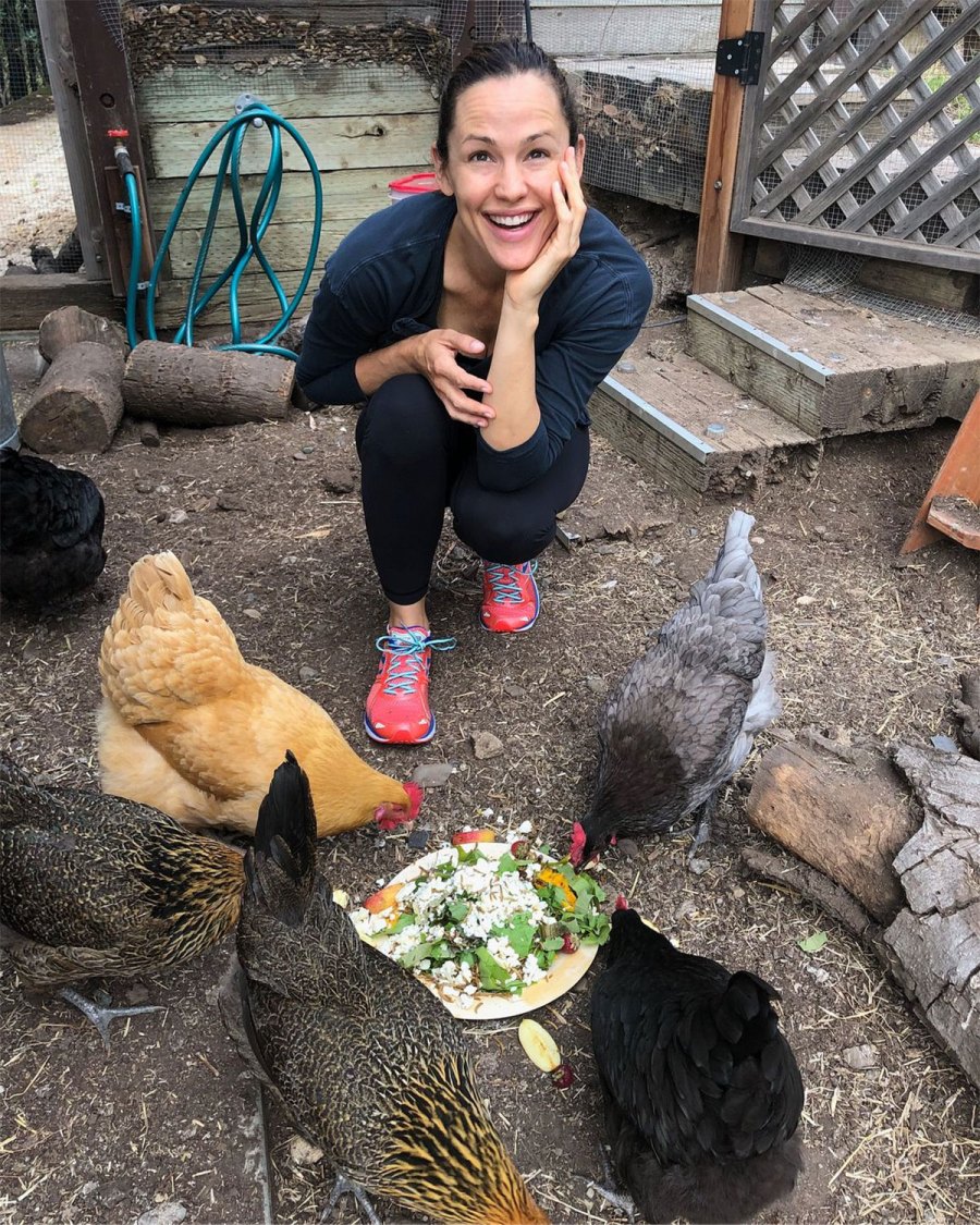 Jennifer Garner Instagram Stars With Chicken Coops at Their Homes
