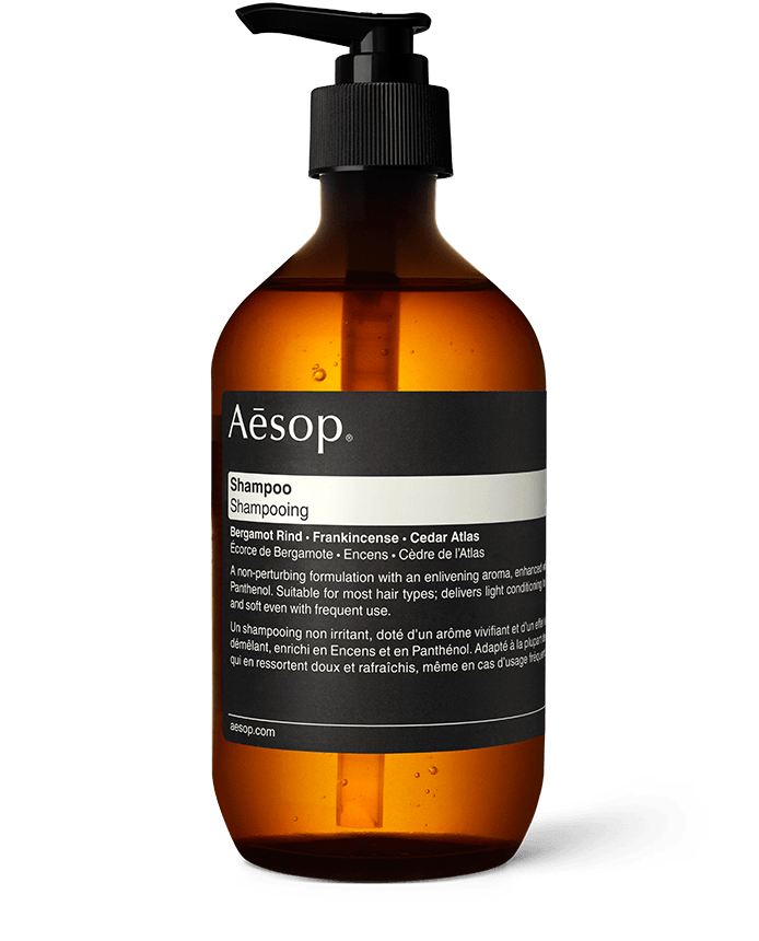 Aesop