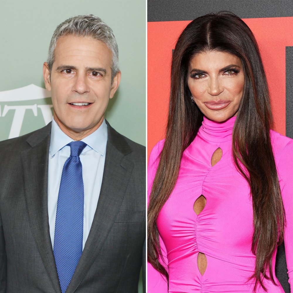 Andy Cohen confessed that he lost his cool while speaking to Teresa Giudice
