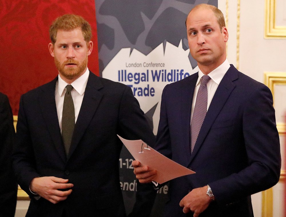 William and Harry Communication Has Been Radio Silence Amid Tense Feud 351
